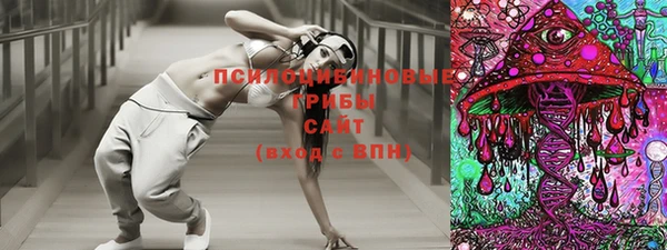 соль ск Бородино